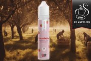 Framboise par Taffe-elec