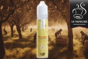 Mangue par Taffe-elec