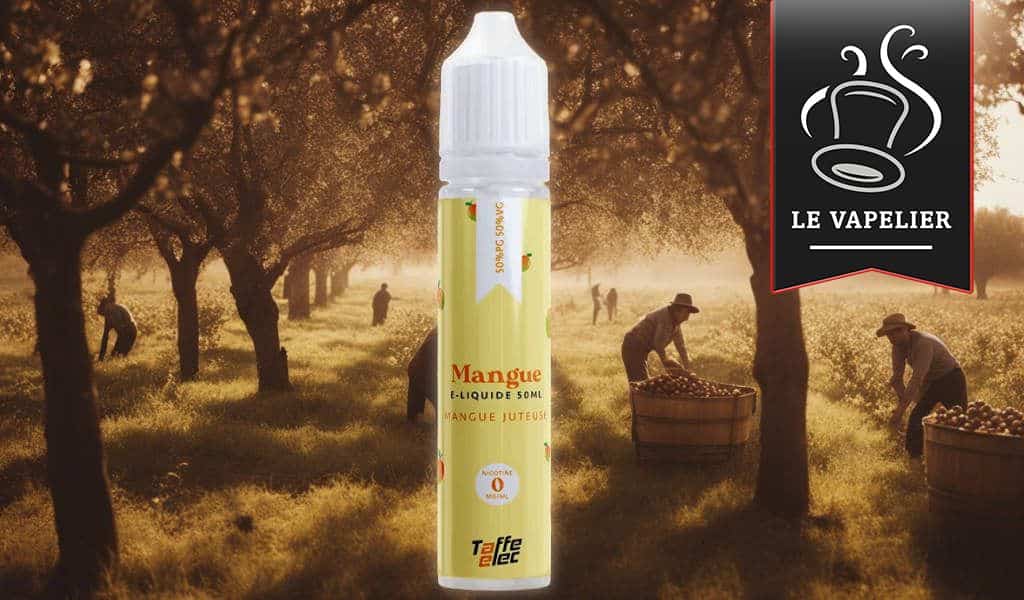 Mangue par Taffe-elec