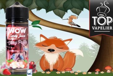 Foxy Puffy (Gamme Wow Candy Juice Evolution) par Wow