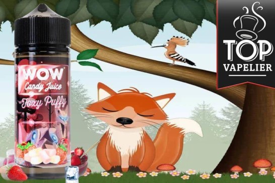 Foxy Puffy (Gamme Wow Candy Juice Evolution) par Wow