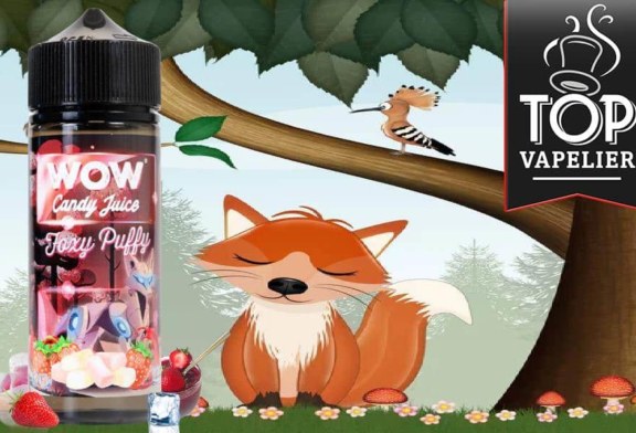 Foxy Puffy (Gamme Wow Candy Juice Evolution) par Wow