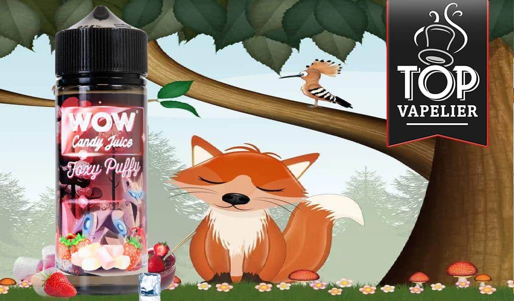 Foxy Puffy (Gamme Wow Candy Juice Evolution) par Wow