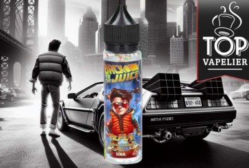McFly (Gamme Back to the Juice) par SérieZ