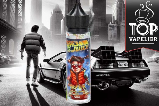 McFly (Gamme Back to the Juice) par SérieZ