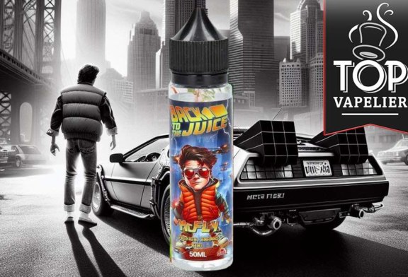 McFly (Gamme Back to the Juice) par SérieZ