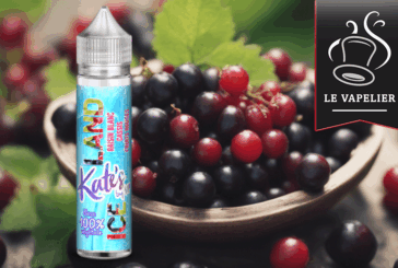 Raisin Blanc Cassis Fruits Rouges (Gamme Kate’s) par Vaping in Paris