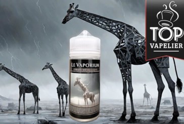 Girafe Métallique par Le Vaporium