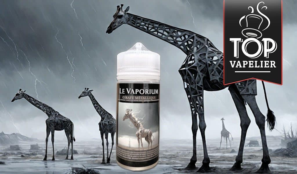 Girafe Métallique par Le Vaporium