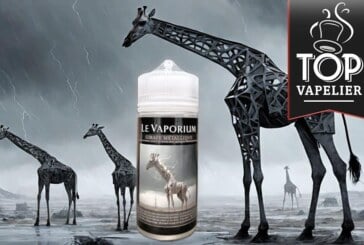 Girafe Métallique par Le Vaporium