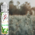 Eucalyptus par Vaping in Paris