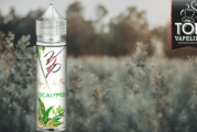 Eucalyptus par Vaping in Paris