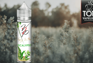 Eucalyptus par Vaping in Paris