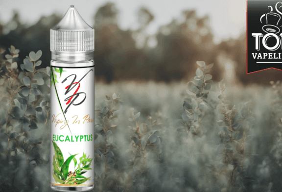 Eucalyptus par Vaping in Paris