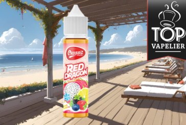 Red Dragon (Gamme Chubbiz) par Mixup Labs