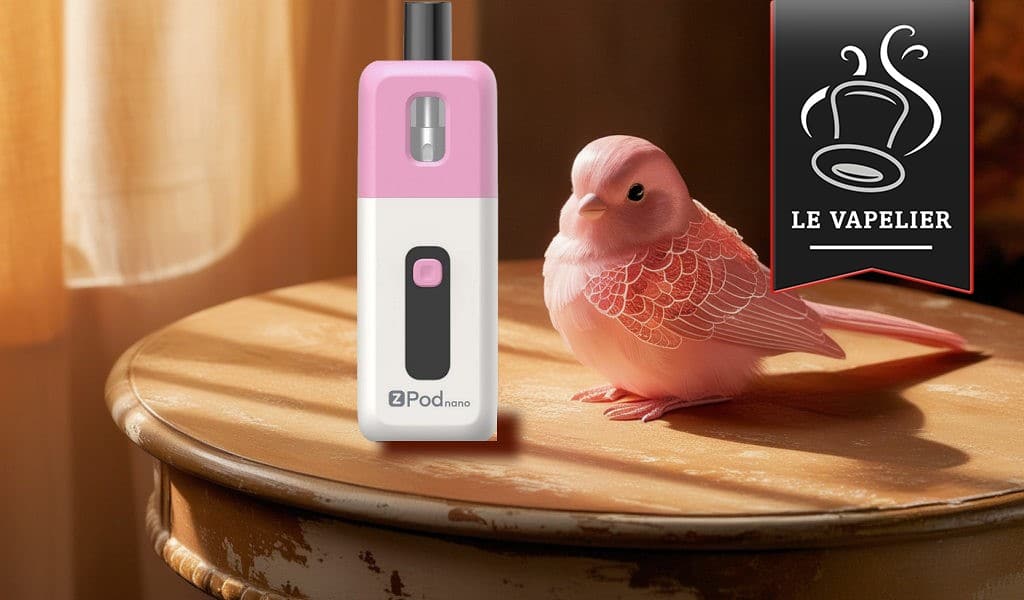 Z Pod Nano Kit par Innokin