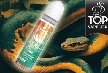 Misty Viper (Gamme Polaris) par Le French Liquide