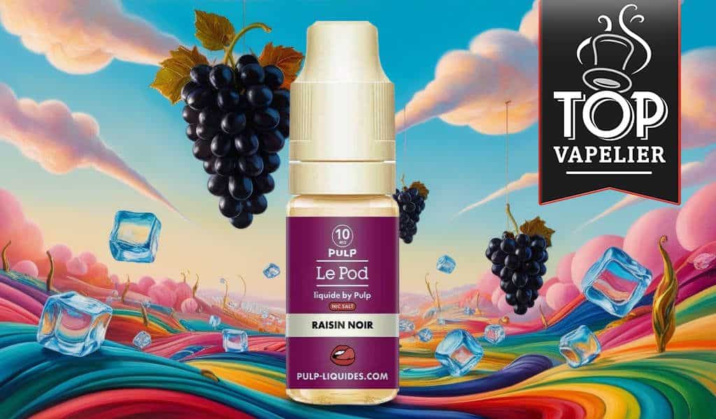 Raisin Noir (Gamme Le Pod Liquide) par Pulp