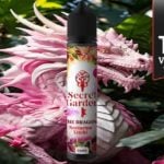 The Dragon (Gamme Secret Garden) par Secret's Lab