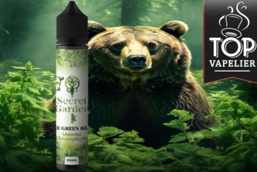 The Green Bear (Gamme  Secret Garden) par Secret’s Lab
