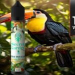 The Toucan (Gamme Secret Garden) Par Secret’s Lab