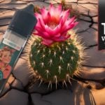 Only Pitaya (Gamme Only) par Le Petit Vapoteur
