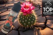 Only Pitaya (Gamme Only) par Le Petit Vapoteur