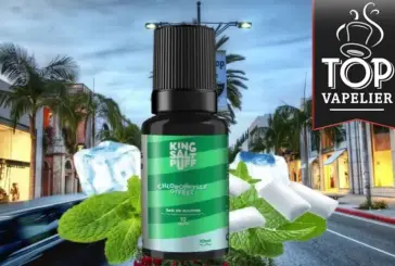 Chlorophylle Givrée (Gamme King Salt Puff) par CDS Lab