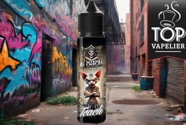 Teach (Gamme Al Chacal) par Knoks