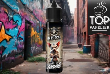 Teach (Gamme Al Chacal) par Knoks