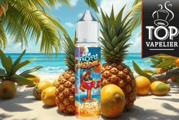 Da Tropik (Gamme Frost Paradise) par Knoks