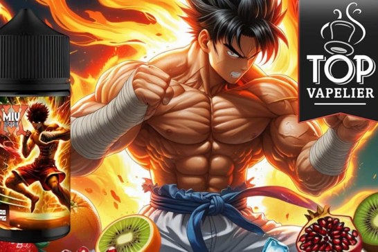 Baki Punch par Made In Vape