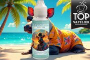 Disco Tapir par Le Vaporium