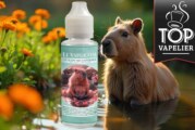 Le Slow-mo Capybara par Le Vaporium