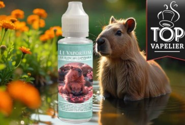 Le Slow-mo Capybara par Le Vaporium