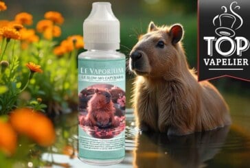Le Slow-mo Capybara par Le Vaporium