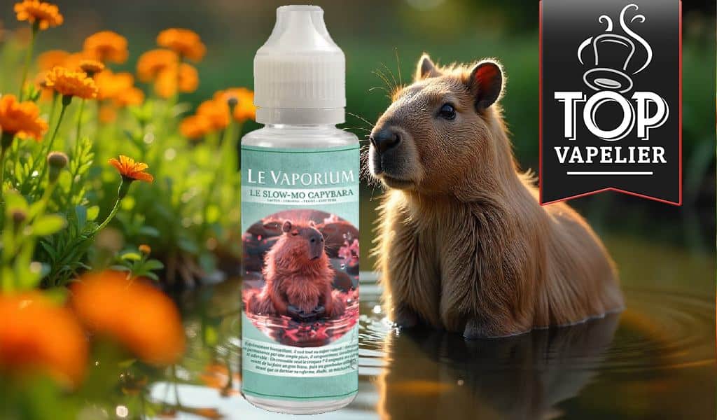 Le Slow-mo Capybara par Le Vaporium