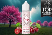 Cerise (Gamme Pur Fruit) par Solana