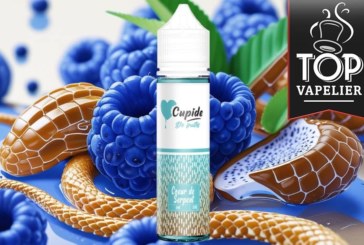 Cœur de Serpent (Gamme Cupide) par Maison Fuel
