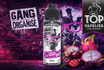 Sophie La Casse-cou (Gamme Gang Organisé) par E.Tasty