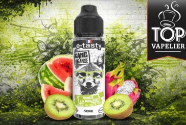 Vince La Malice (Gamme Gang Organisé) par E.Tasty
