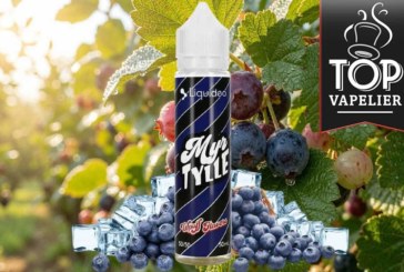 Myrtille (Gamme Wpuff Flavors) par Liquideo