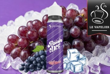 Raisin Glacé (Gamme Wpuff Flavors) par Liquideo
