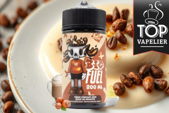Cœur Fondant Café, Éclat de Noisette (Gamme Big Fuel) par Maison Fuel
