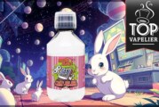 Fruits des Bois Fraise Framboise (Gamme Rétro Blast) par Le Petit Vapoteur