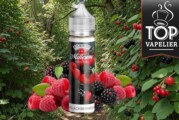 Blackberries (Gamme Original) par Millésime
