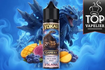 Gamera (Gamme Yōkai) par Solana