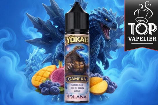 Gamera (Gamme Yōkai) par Solana