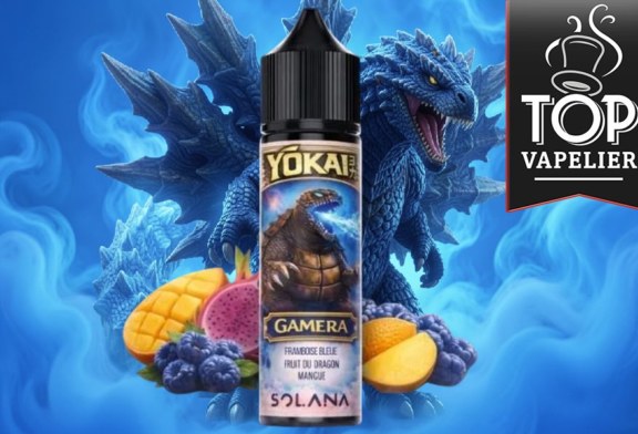 Gamera (Gamme Yōkai) par Solana