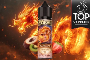 Koïnami (Gamme Yōkai) par Solana